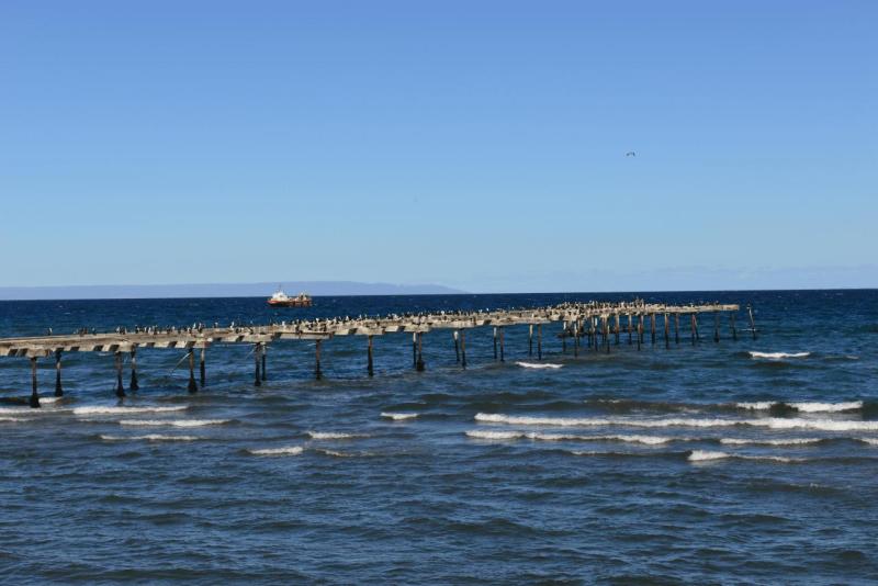 punta_arenas_011