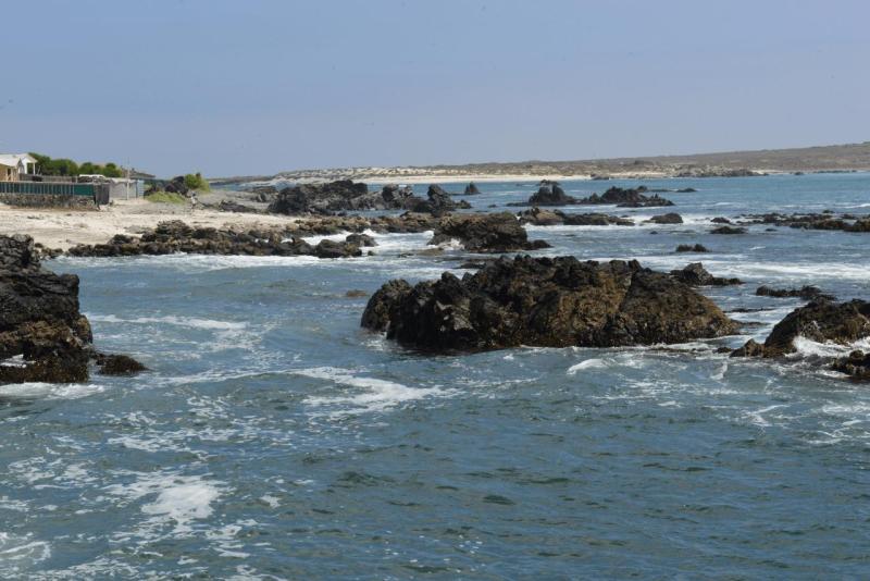 chorus_humboldt_0007