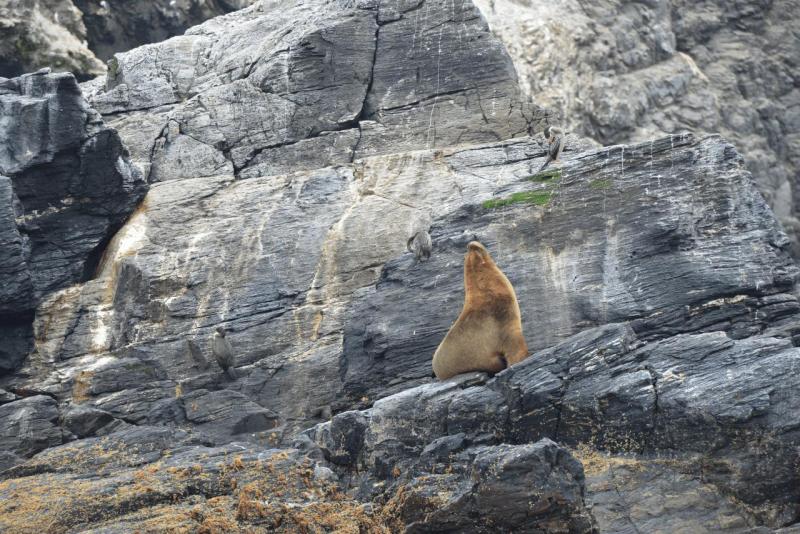 chorus_humboldt_0015