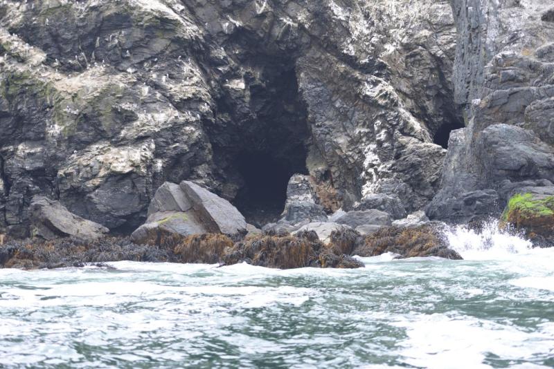 chorus_humboldt_0018