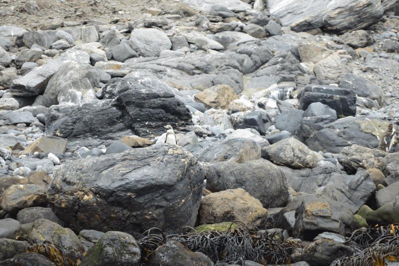 chorus_humboldt_0020