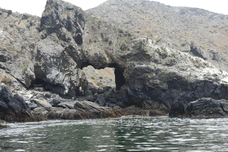 chorus_humboldt_0022