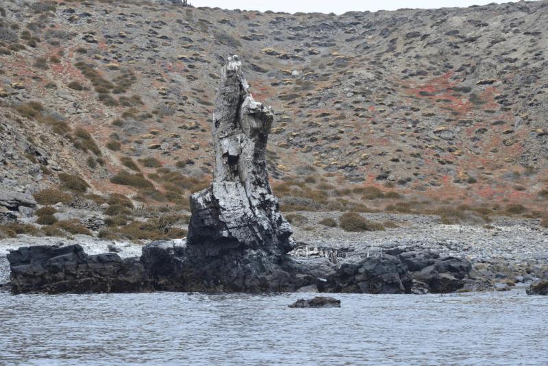 chorus_humboldt_0030