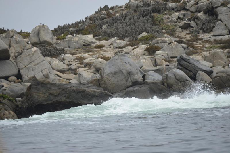 chorus_humboldt_0034