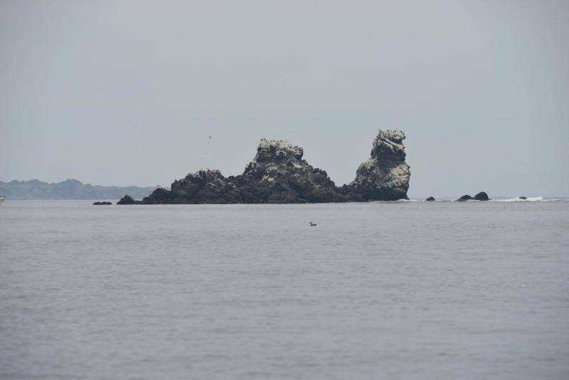 chorus_humboldt_0039