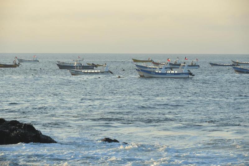 chorus_humboldt_0043