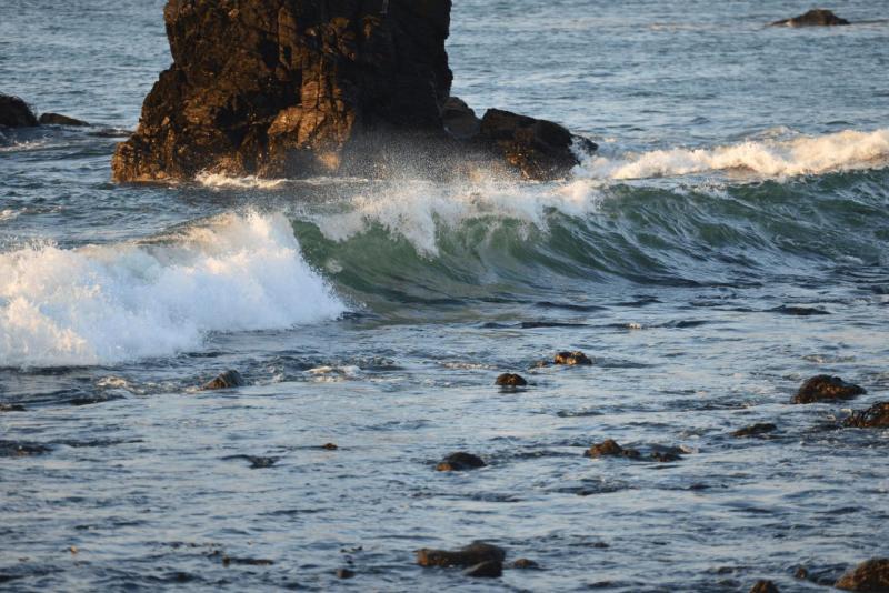 chorus_humboldt_0044