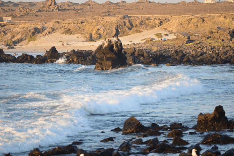 chorus_humboldt_0045