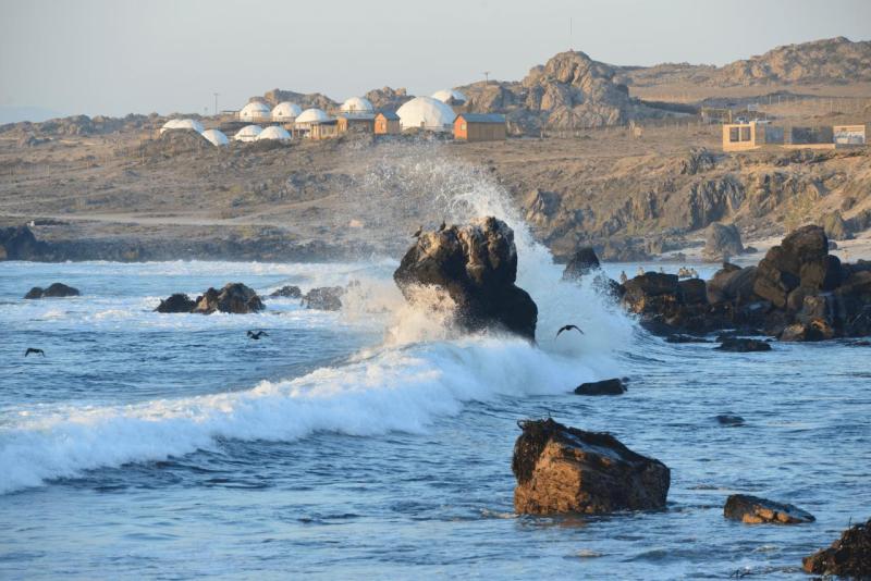 chorus_humboldt_0047