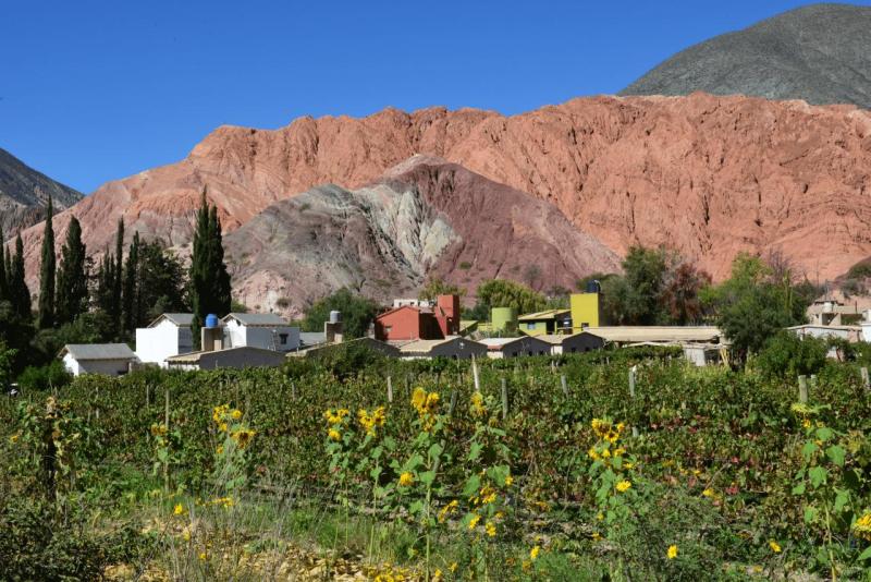 purmamarca_0006