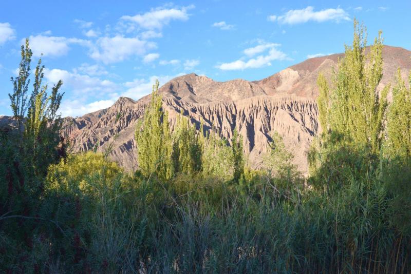 purmamarca_0017