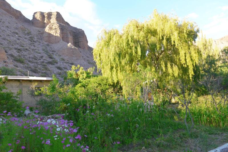 purmamarca_0019