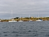quassant_026