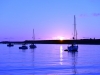 quassant_031