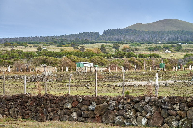 rapa_nui_tour_003