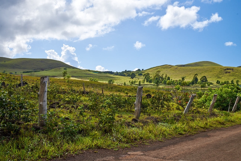 rapa_nui_tour_036