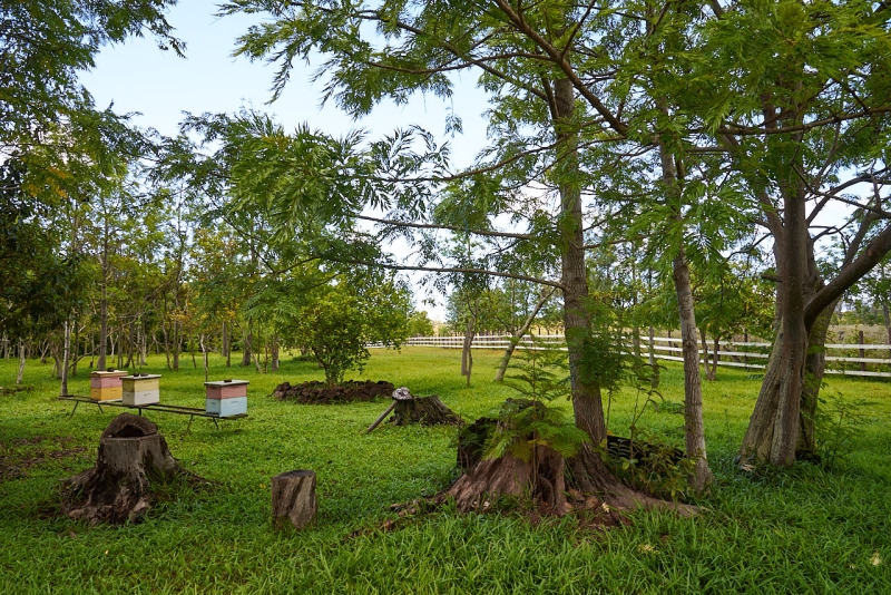 rapa_nui_tour_040