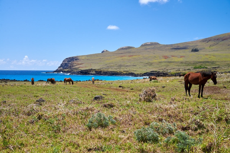 rapa_nui_tour_048