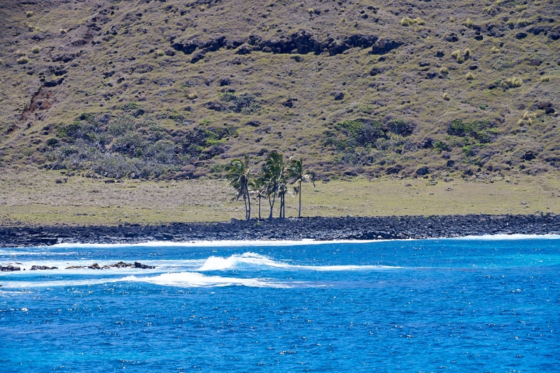 rapa_nui_tour_057