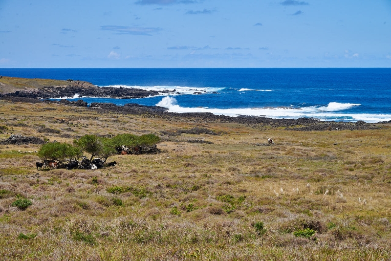 rapa_nui_tour_062