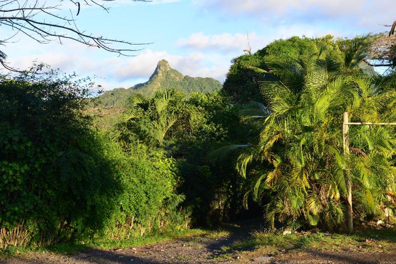 rarotonga_2_0046