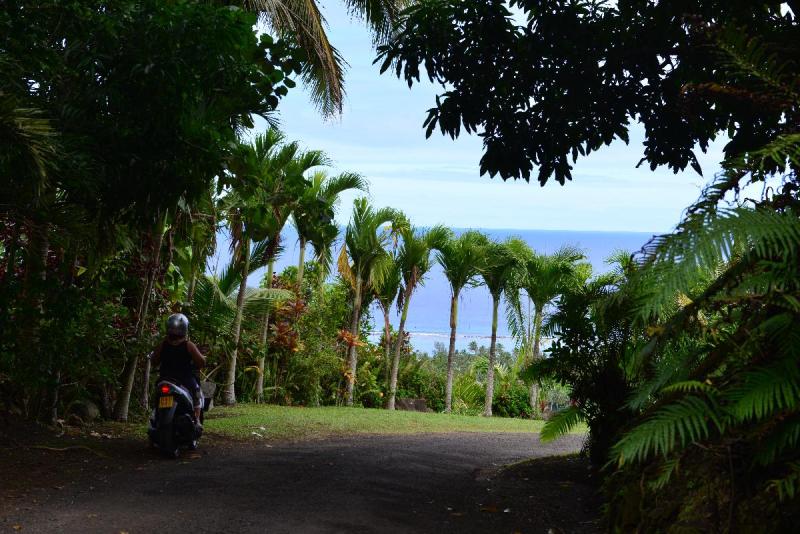 rarotonga_2_0081