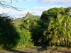 rarotonga_2_0046