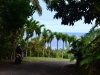 rarotonga_2_0081