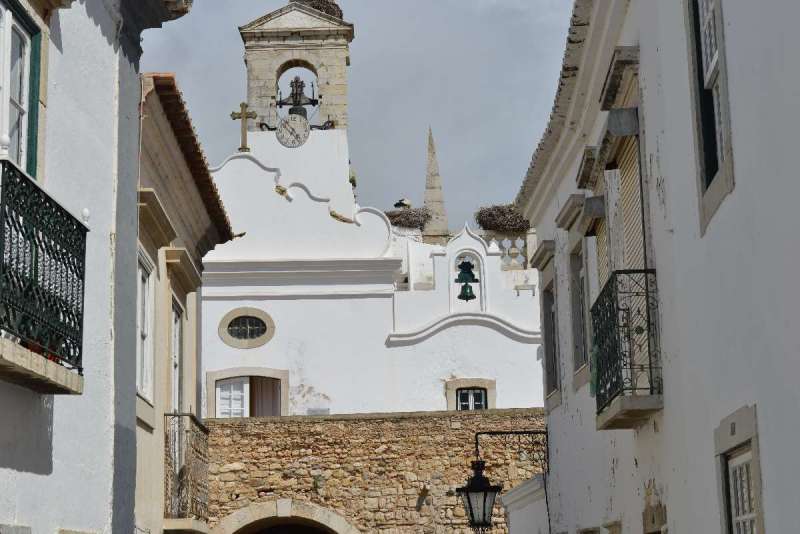 rio_guadiana_0041