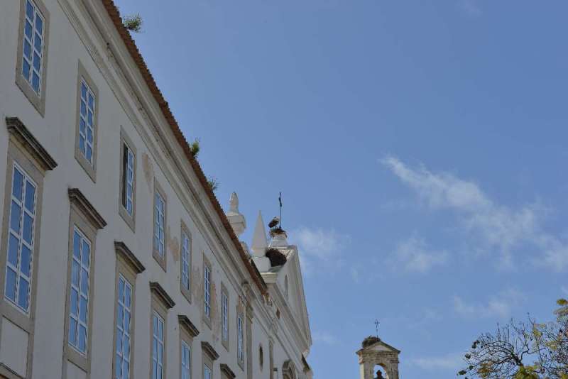 rio_guadiana_0046