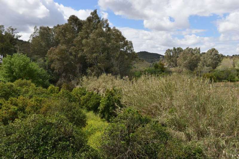 rio_guadiana_0086