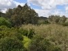 rio_guadiana_0086