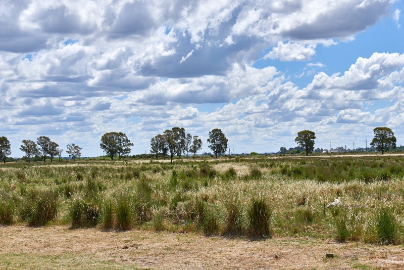 20221110_ar_bahia_blanca_80H_5352_suedamerika