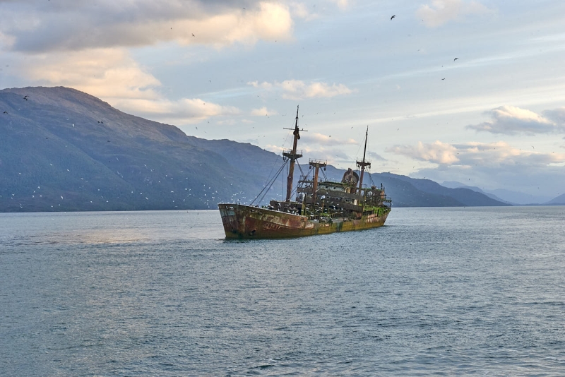 suedamerika_20230113_cl_ferry_puerto_yungay_sea_puerto_eden_80H_9749