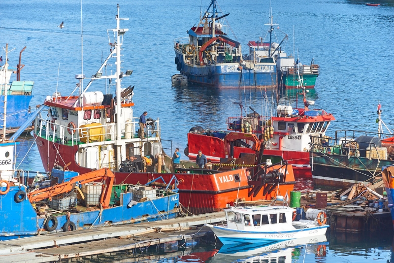 suedamerika_20230126_cl_puerto_montt_80K_0702