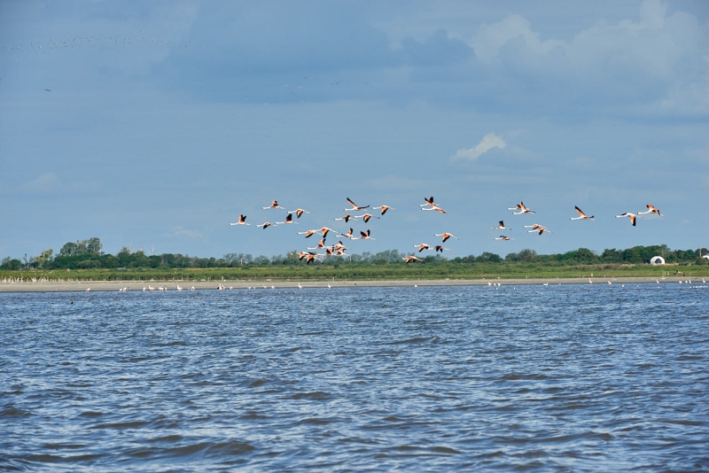 suedamerika_20230405_ar_miramar_boat_tour_80K_3397