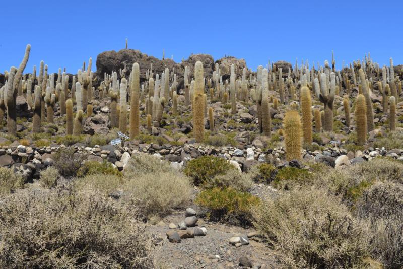 salar_uyuni_0018
