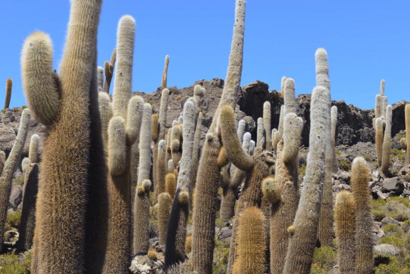 salar_uyuni_0020
