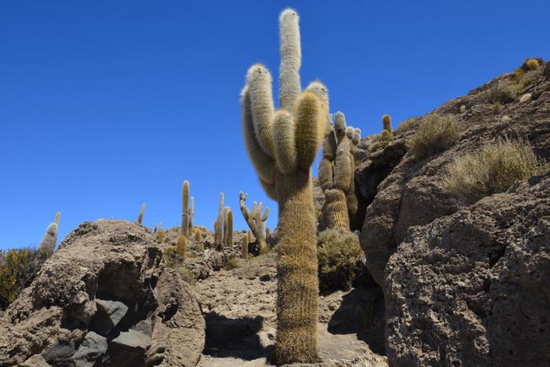 salar_uyuni_0023