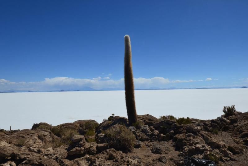 salar_uyuni_0024