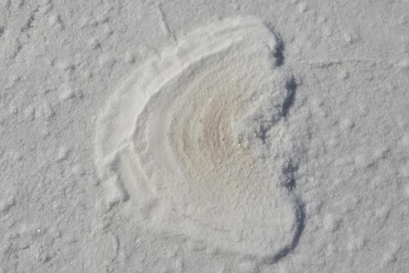 salar_uyuni_0030