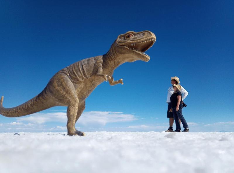salar_uyuni_nonsens_0003