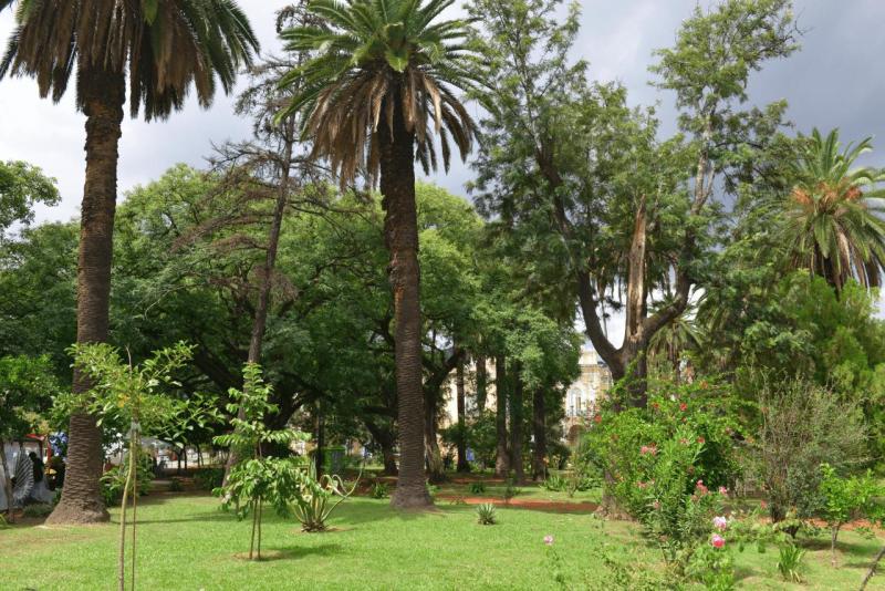 salta_0031