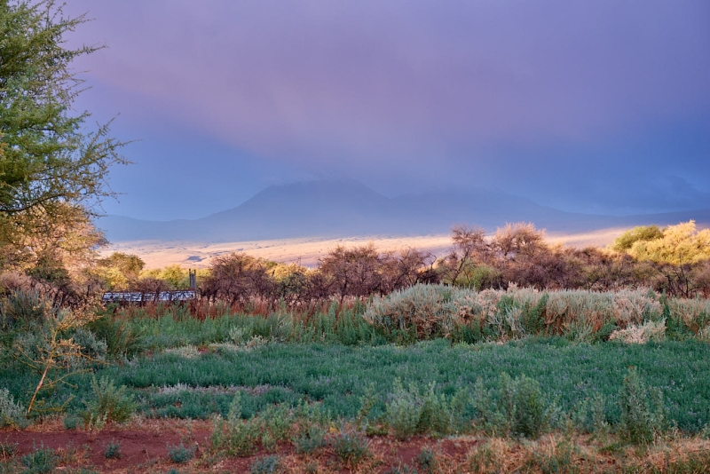 san_pedro_de_atacama_043