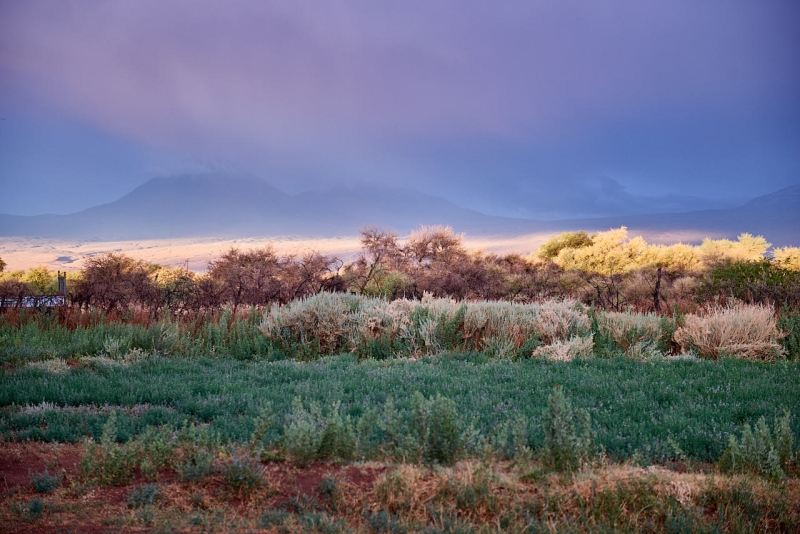 san_pedro_de_atacama_045