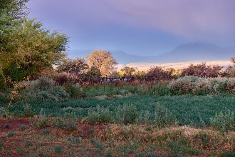 san_pedro_de_atacama_046