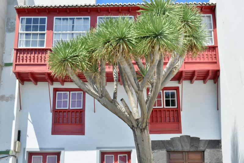 santa_cruz_de_la_palma_032