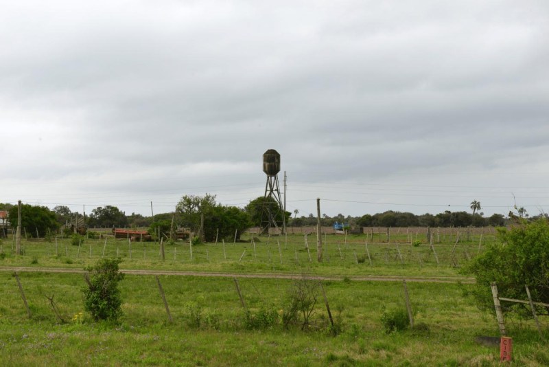 general_enrique_martinez_003