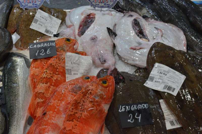 santiago_de_compostela_0121