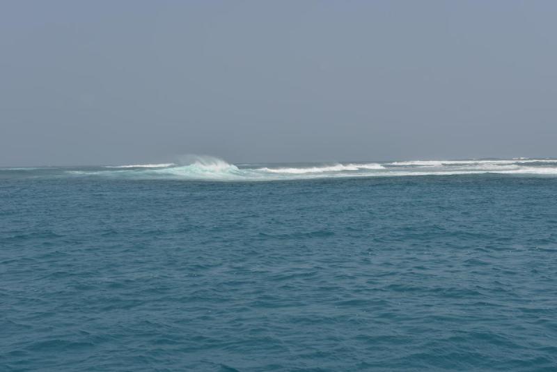 sbla_019